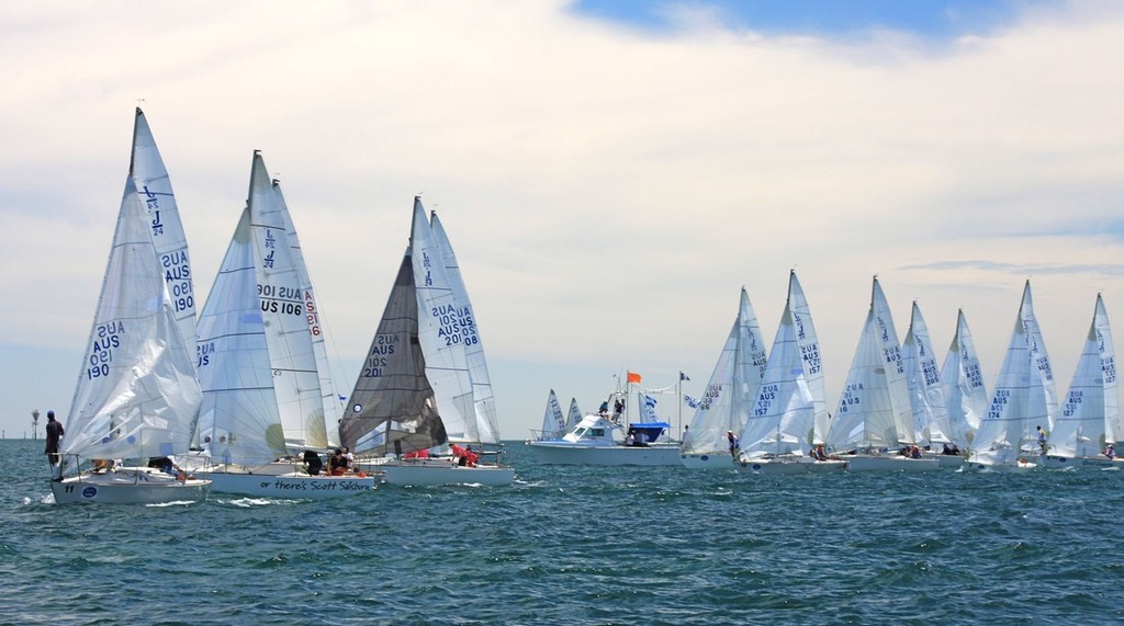 J24 Nationals start line © Traci Ayris